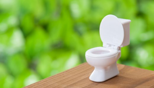 トイレ交換するなら、いつ・どれにするか?